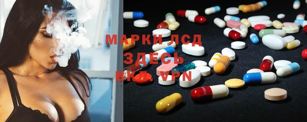 PSILOCYBIN Армянск
