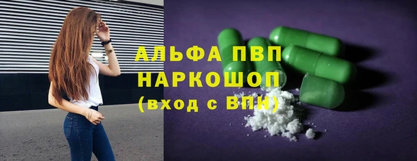 PSILOCYBIN Армянск