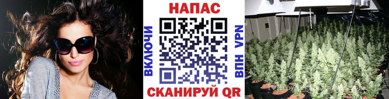 Каннабис тримм  где продают   Кубинка 
